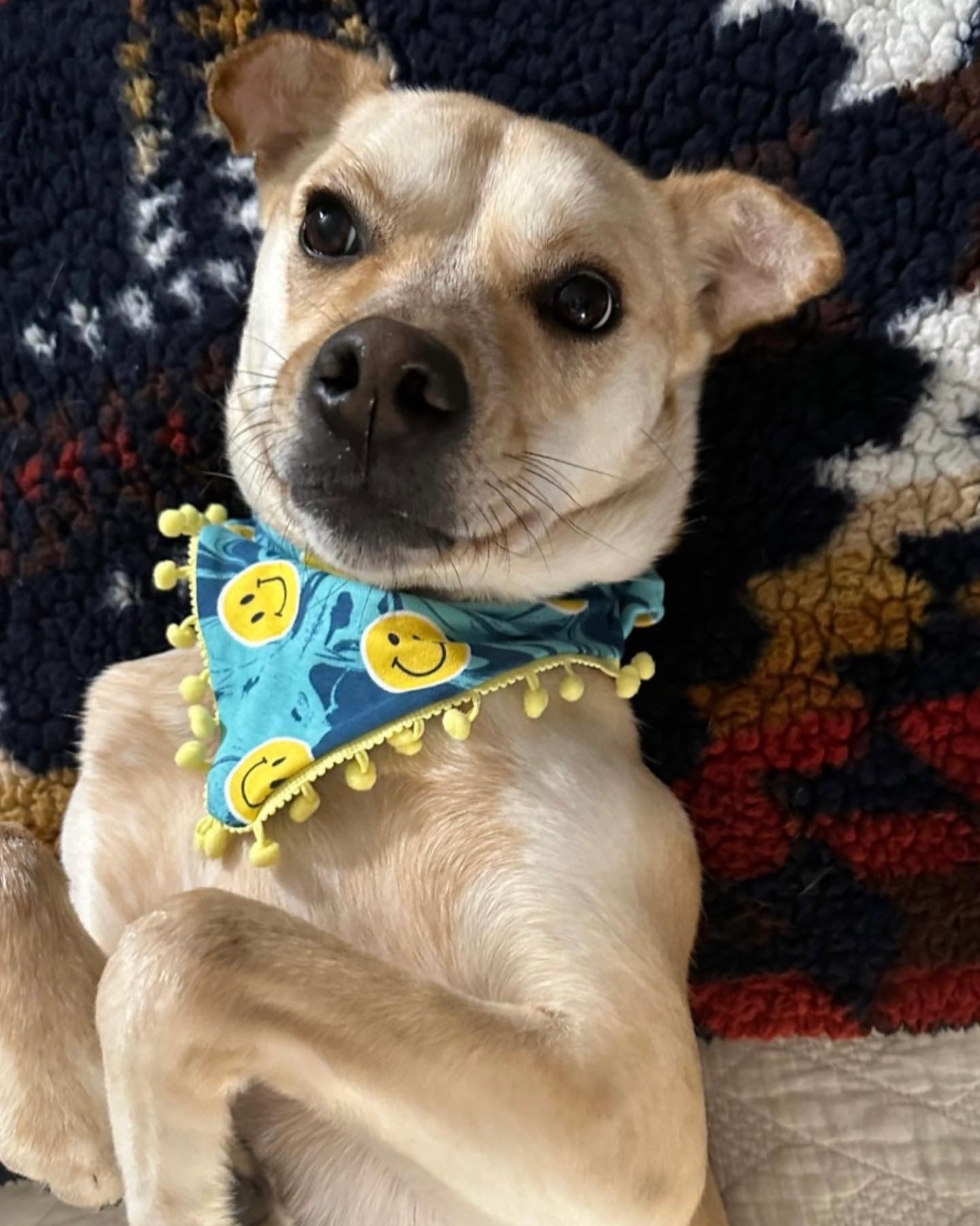 Smiley Bandanas