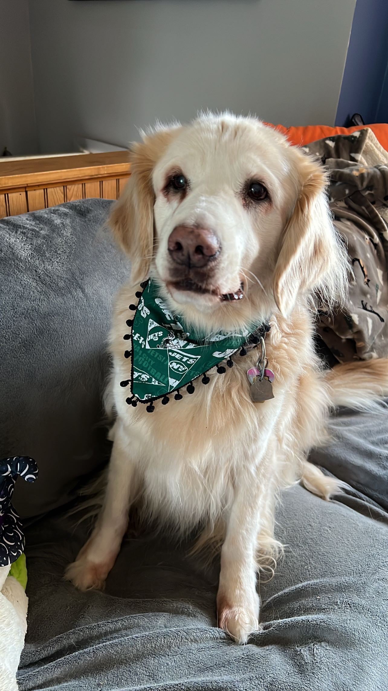 Jets Bandanas