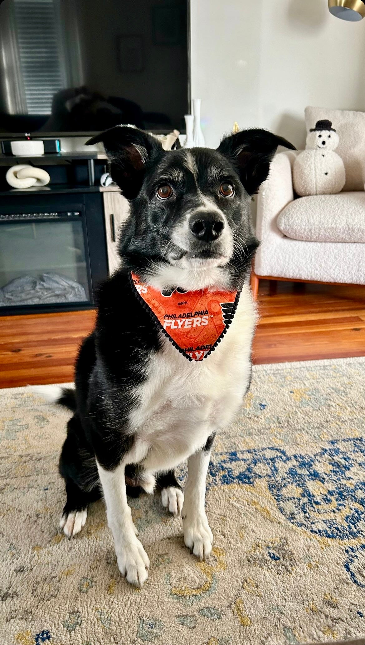 Flyers Bandanas