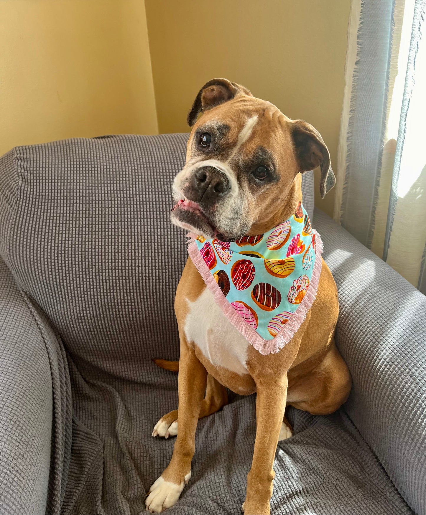 Annie's Donuts Bandanas