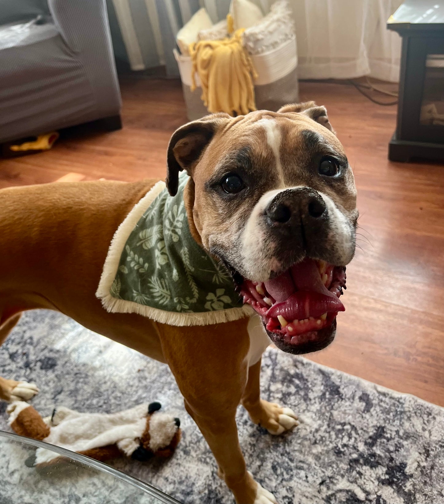 Natural Plants Bandanas