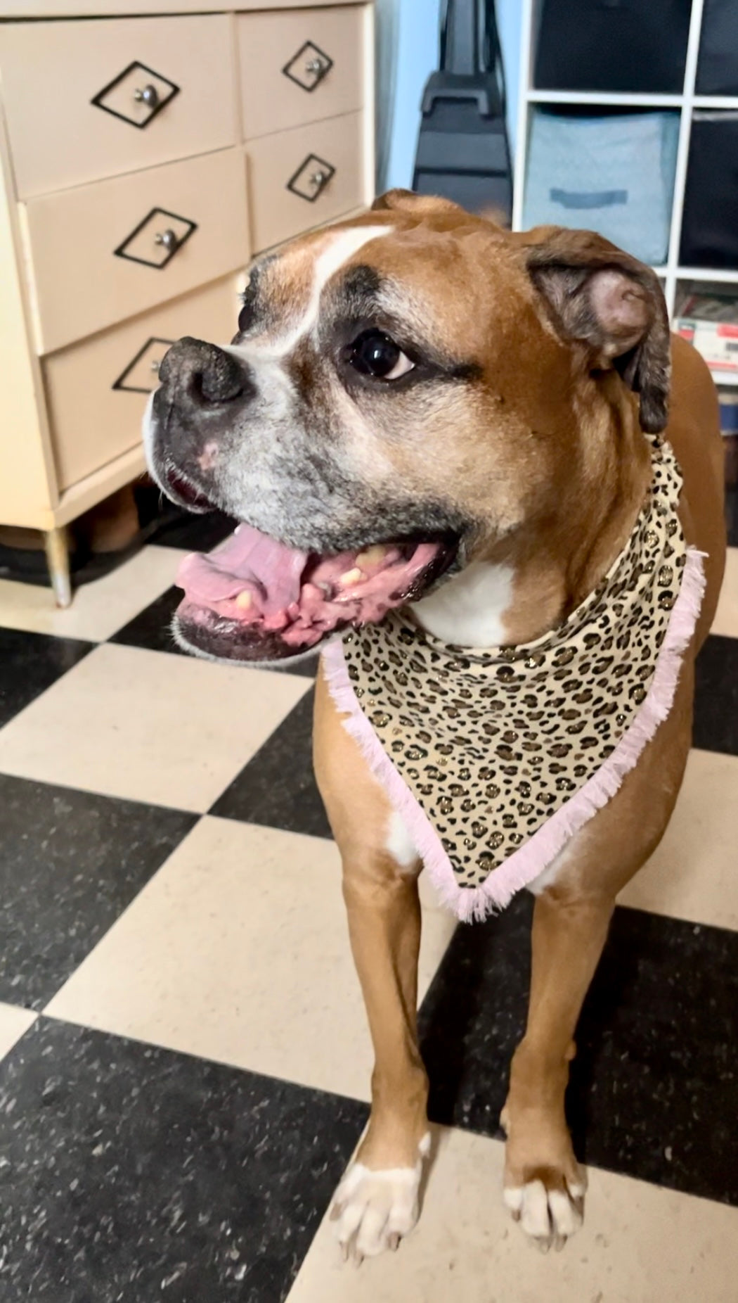 Cheetah Print Bandanas