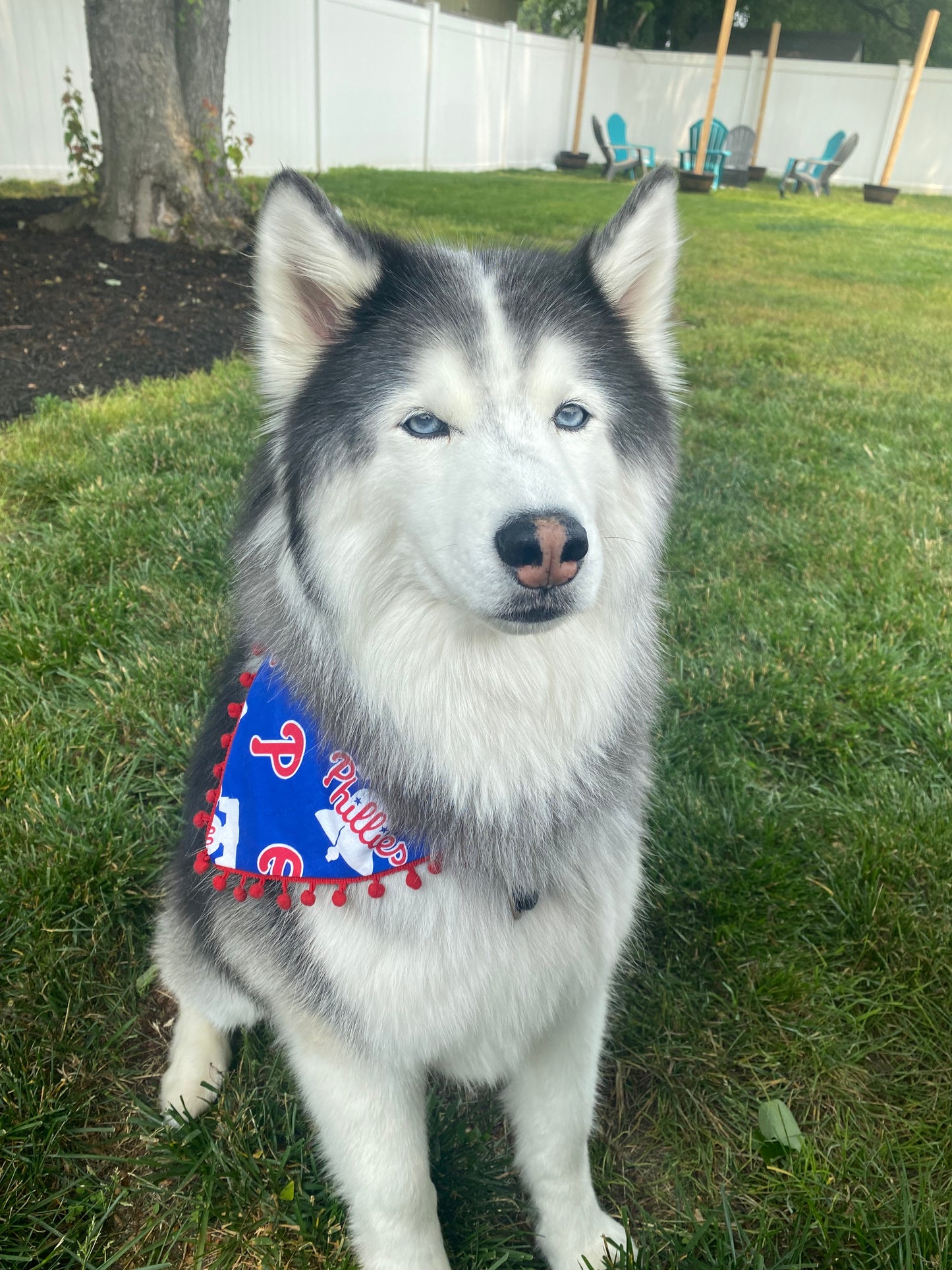 Phillies Bandanas