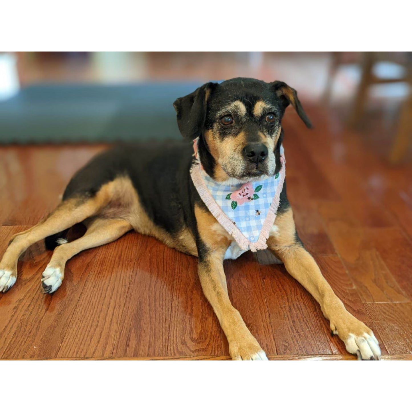 Floral Gingham Bandanas