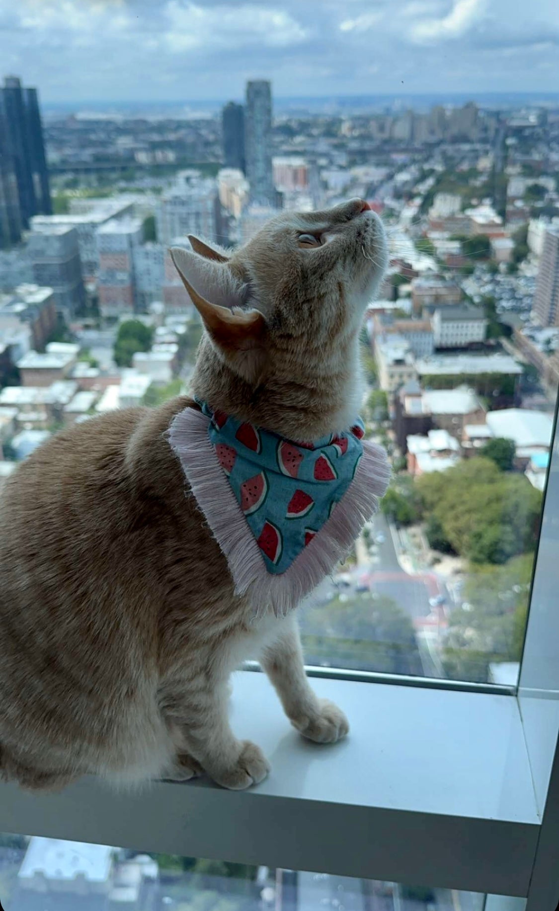 Watermelon Bandanas